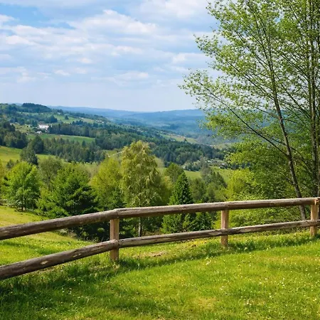 Am Reisberg
